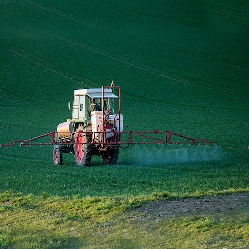 La Plaga De Los Plaguicidas Somos Naturaleza