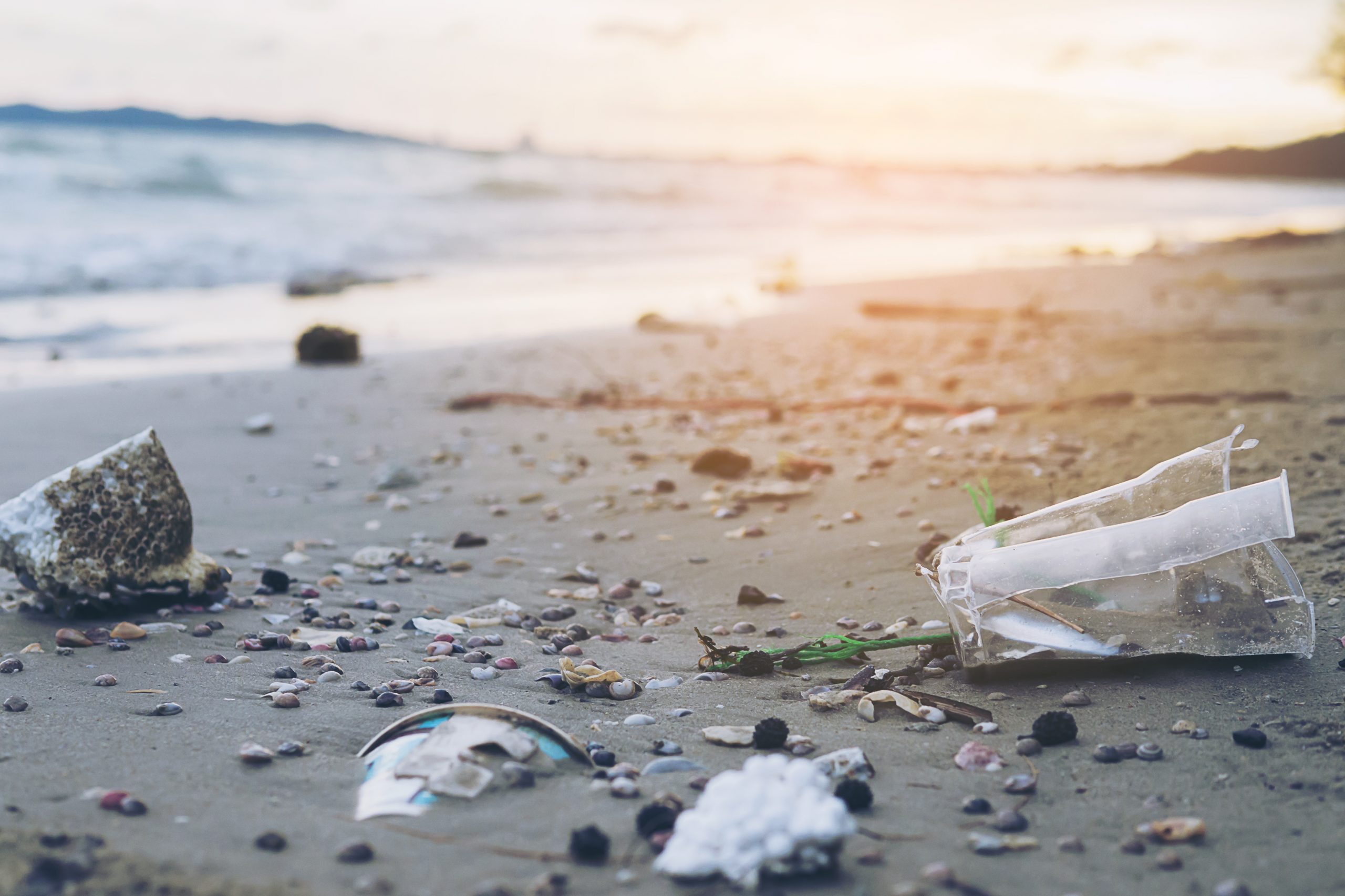 basura playa arena mostrando problema contaminacion ambiental 1