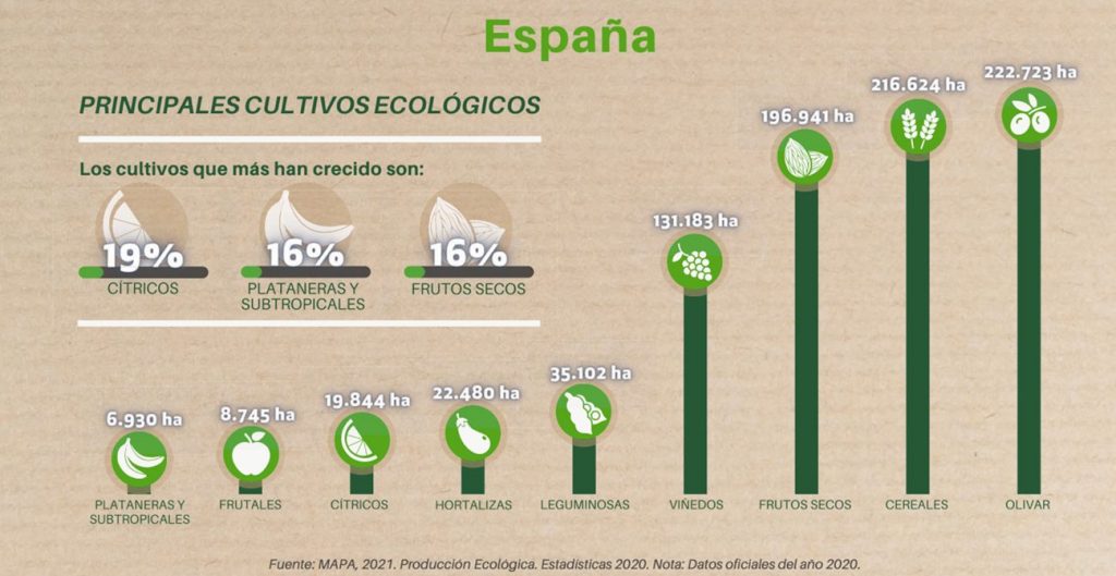 principales cultivos ecologicos espana 1