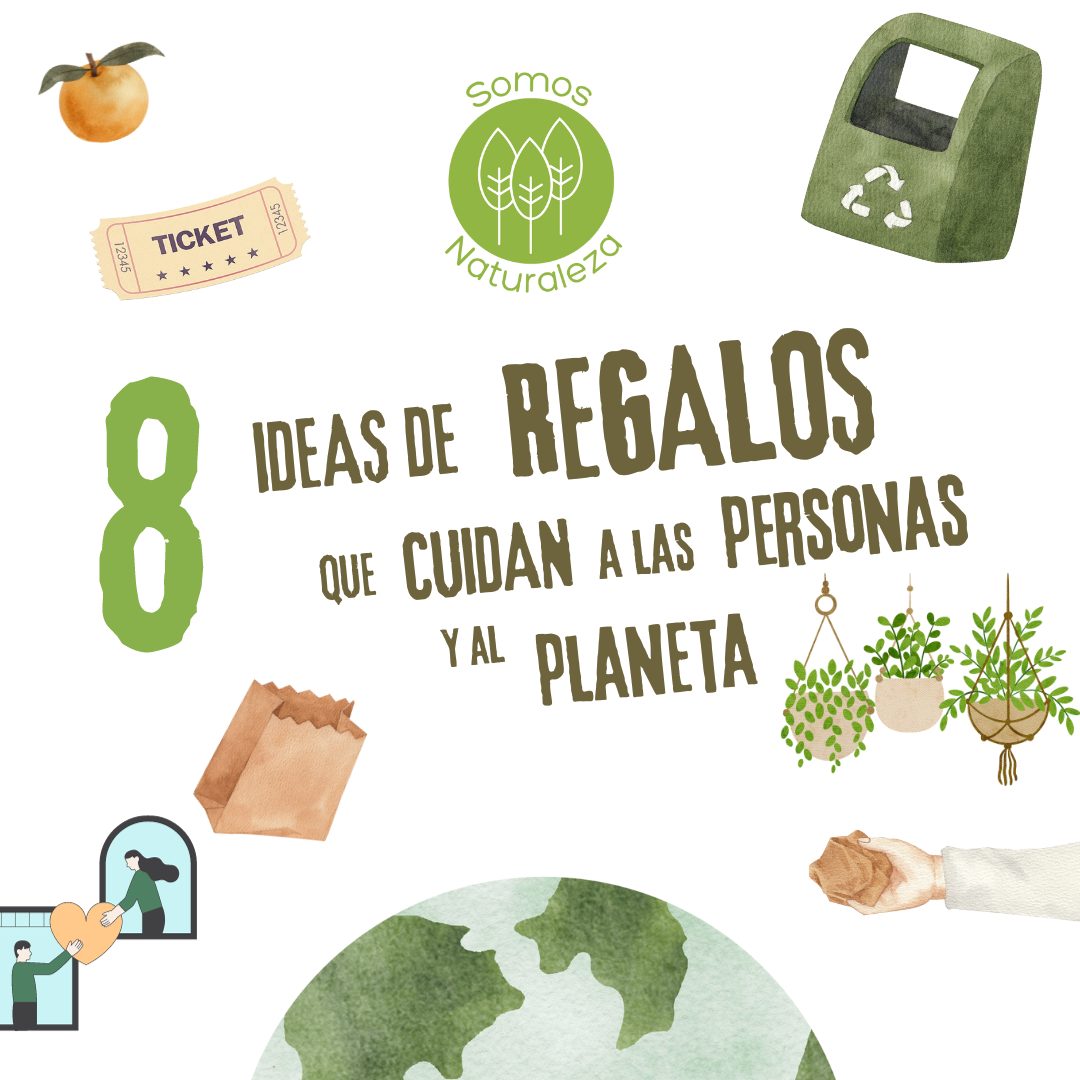 Infografia Cuidar Medio Ambiente Consejos Ecologico Ilustrado Acuarela Collage Marron Post para Instagram 2