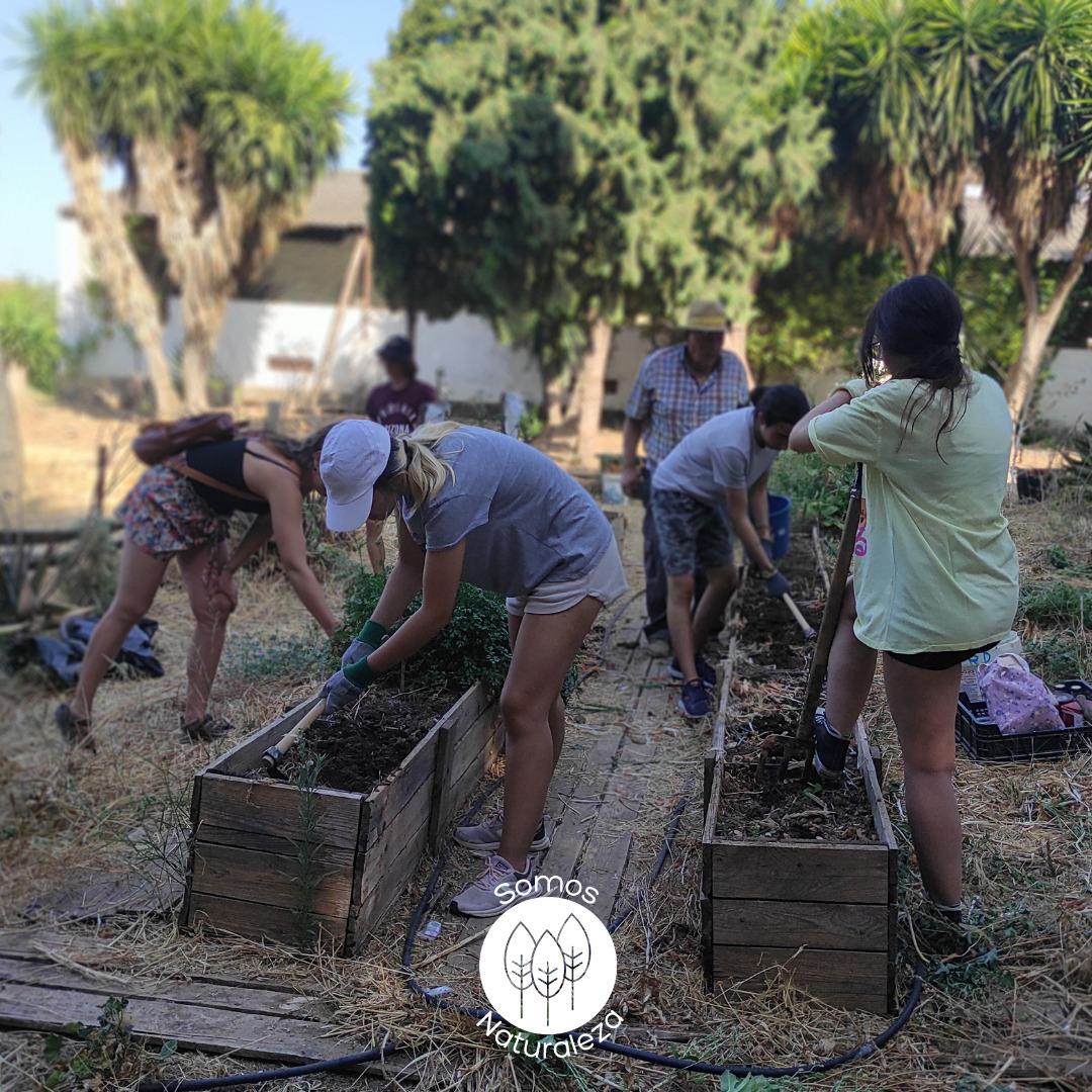 voluntariado Fundación Somos Naturaleza