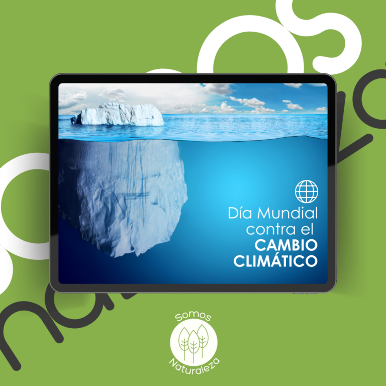 diamundialcambioclimatico