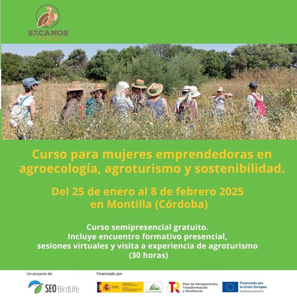 Cartel MONTILLA SEO RRSS1 1