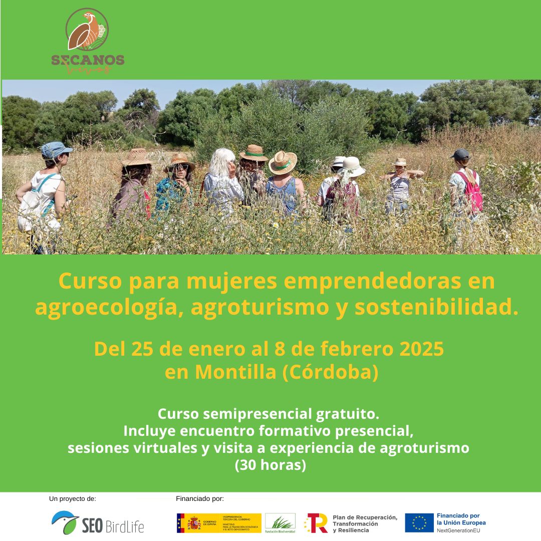 Cartel MONTILLA SEO RRSS1 1