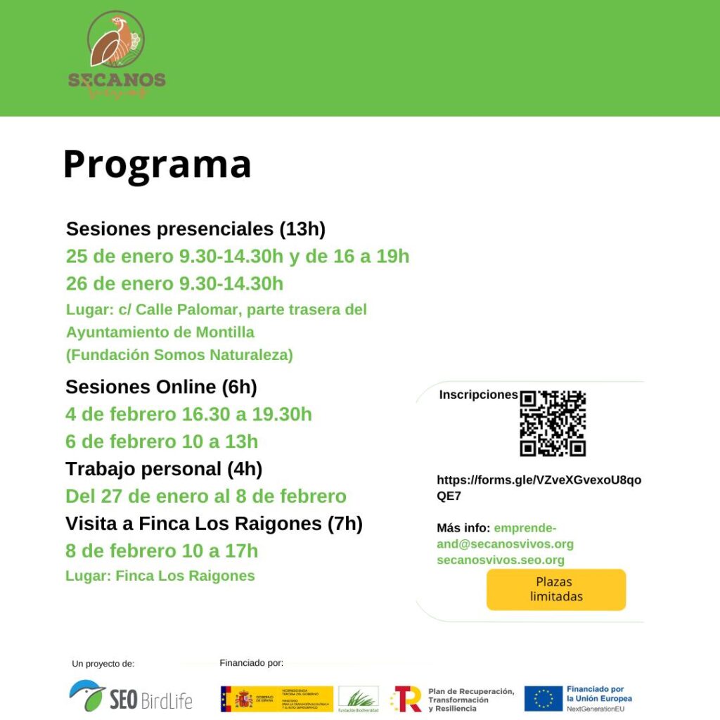 Programa MONTILLA SEO RRSS2 1