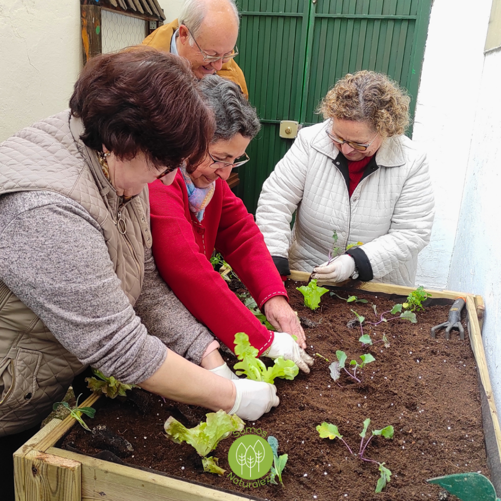 curso huerto terapeutico fundacion somos naturaleza