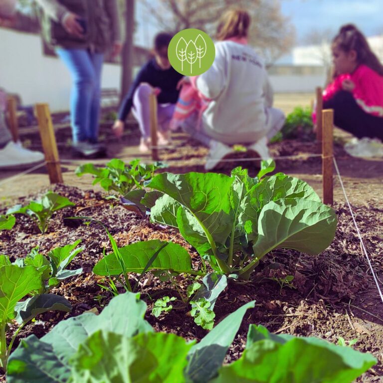 huerto escolar fundacion somos naturaleza