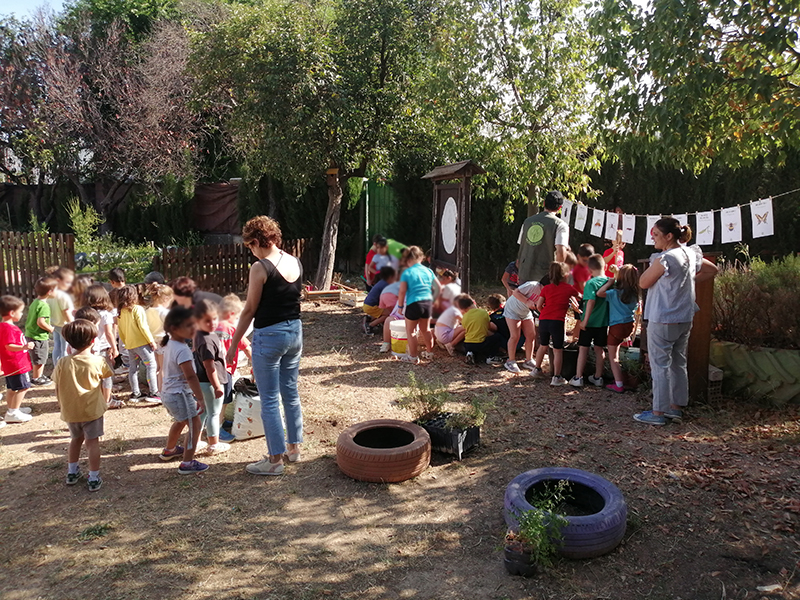 IMG 20250605 101724 1