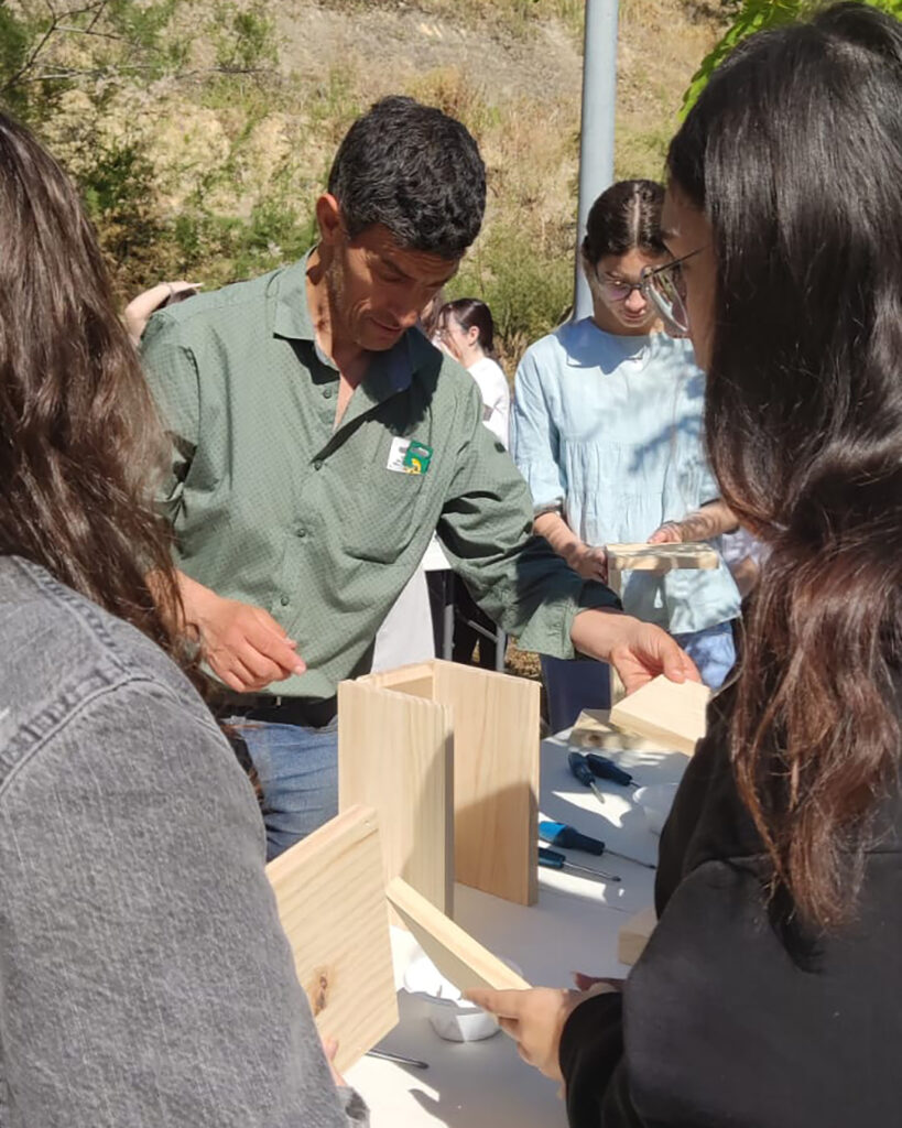 taller nidos 3