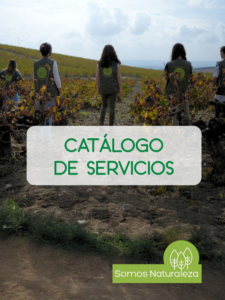 Portada blog 1 1