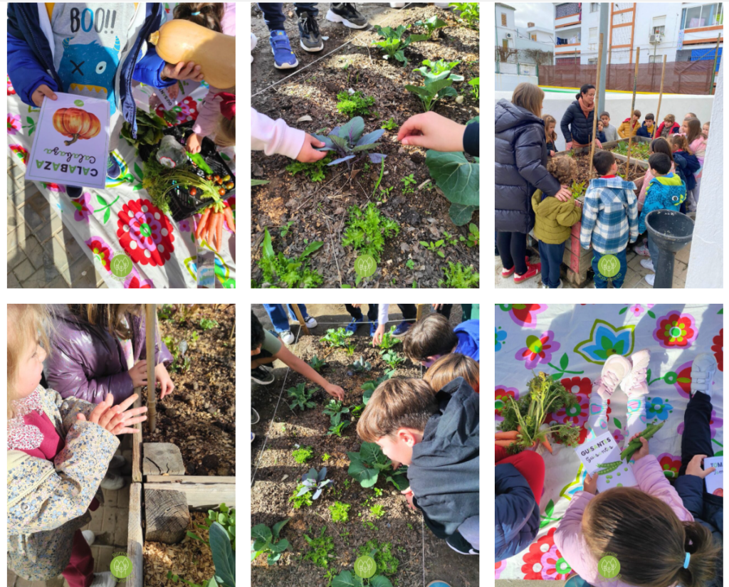 huertos escolares cultivando conciencia