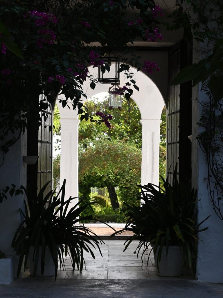 Lagar Santa Magdalena 6b