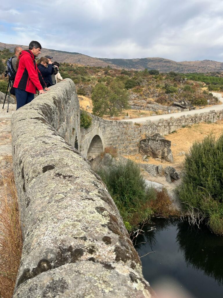 Montes vivos 1