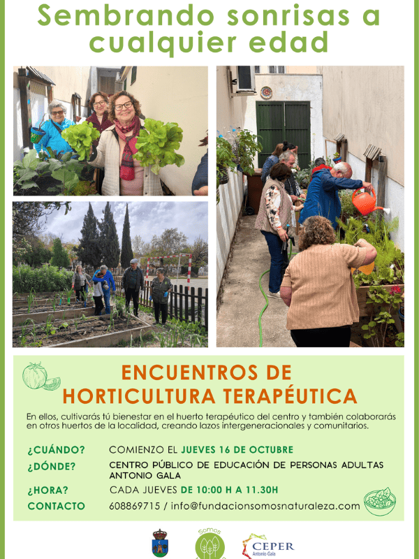 Portada blog 15 1