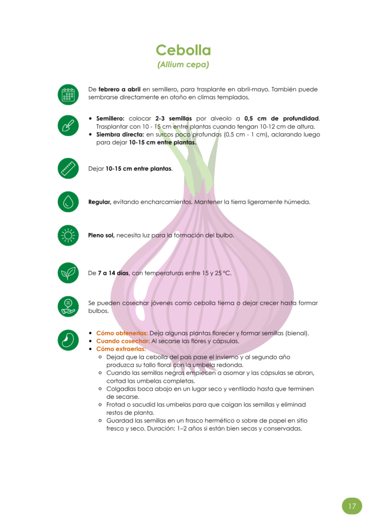 Semillateca Escolar Manual para la siembra seguimiento y conservacion de semillas en huertos escolares 1