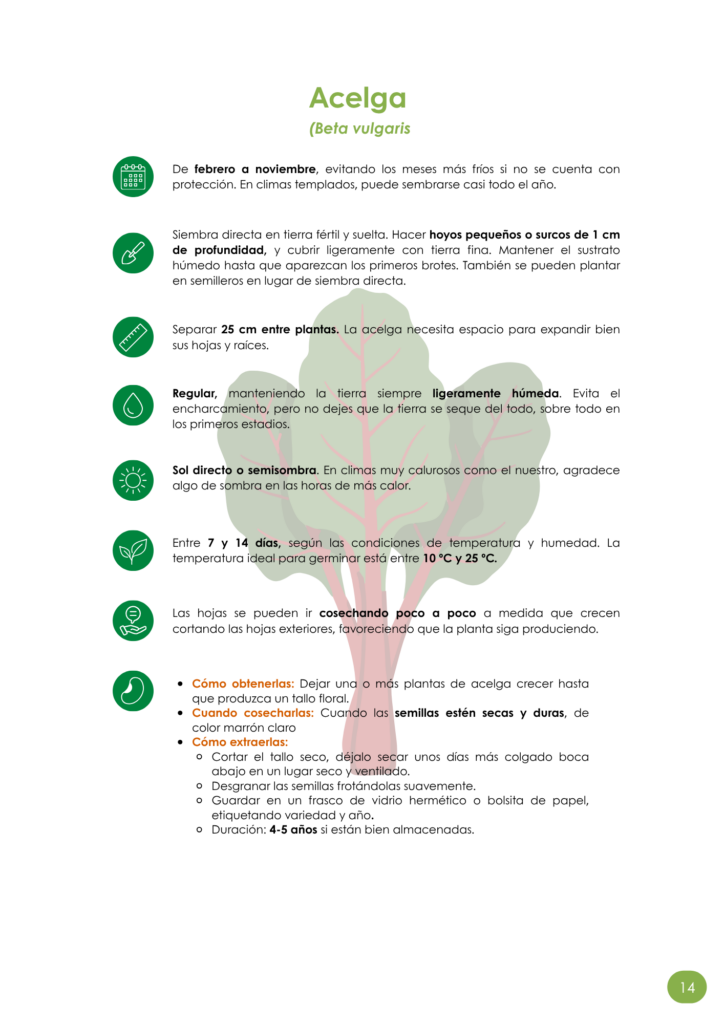 Semillateca Escolar Manual para la siembra seguimiento y conservacion de semillas en huertos escolares