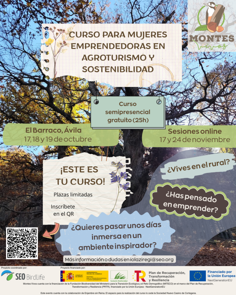 curso mujeres emprendedoras