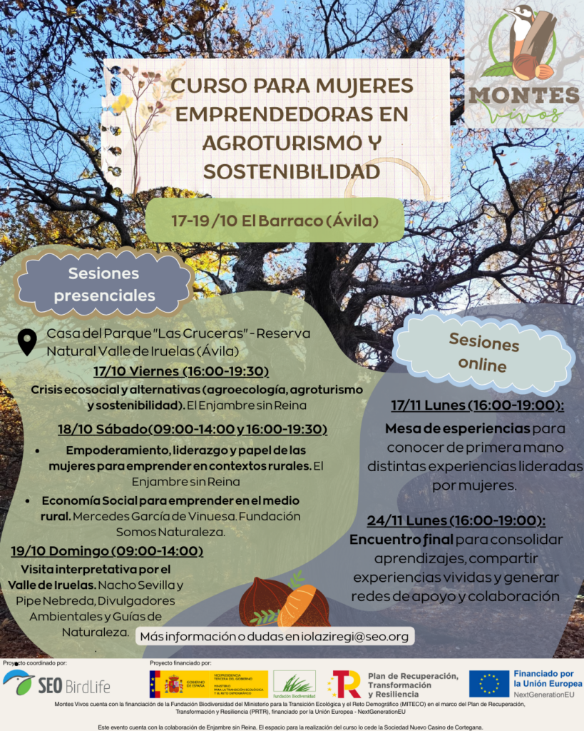 curso mujeres emprendedoras programa