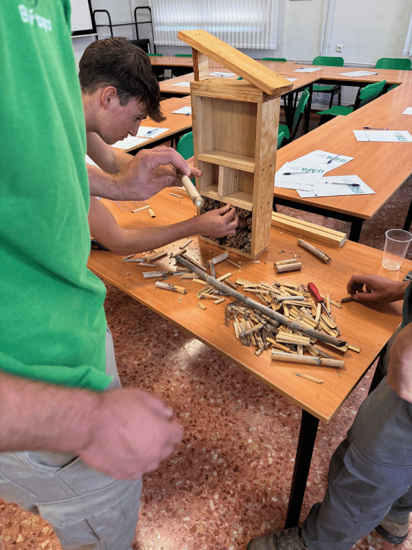fsn taller cajas nido hotel de insectos