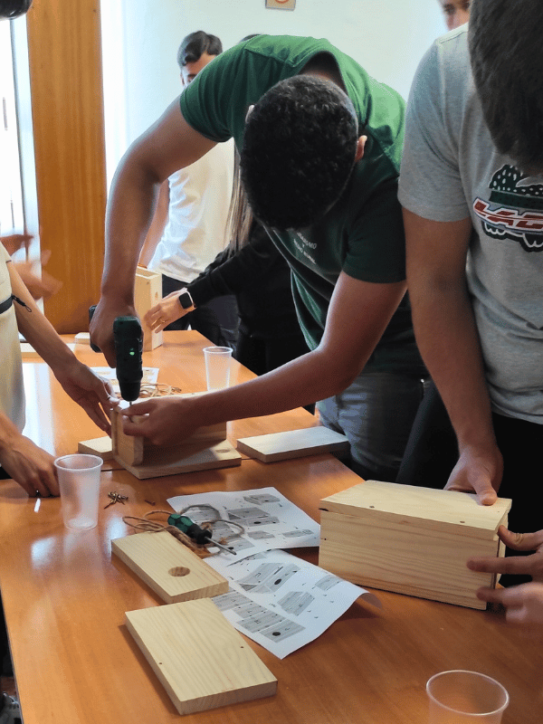 fsn taller cajas nido passeriformes