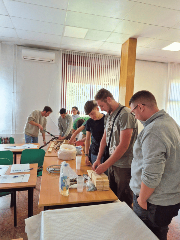 fsn taller cajas nido