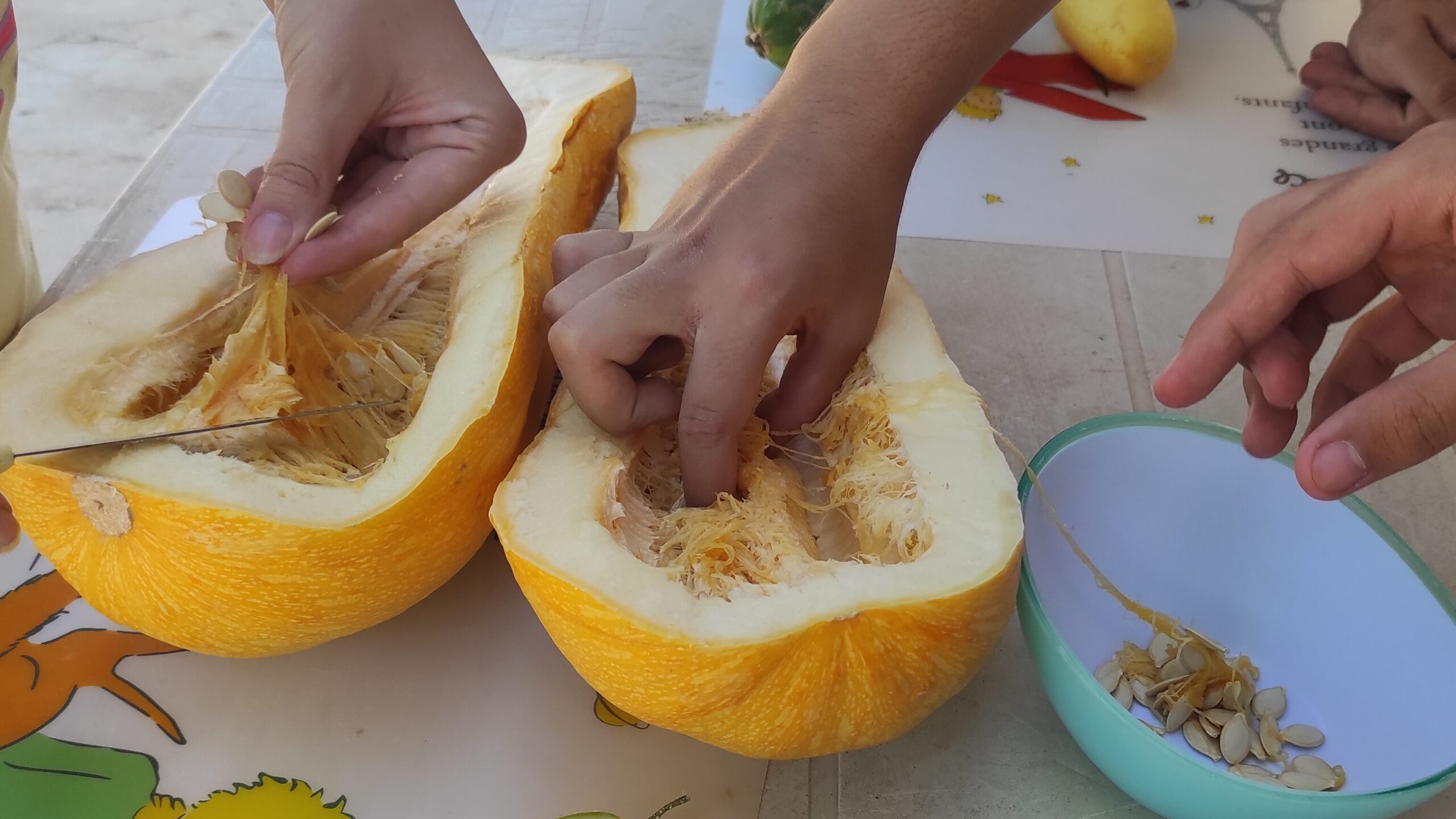 Extraer semillas calabacin 1