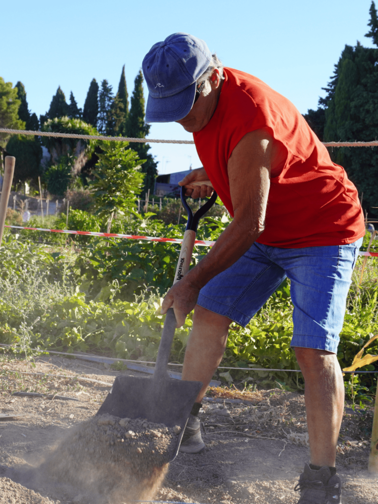 Extraer semillas calabacin 2