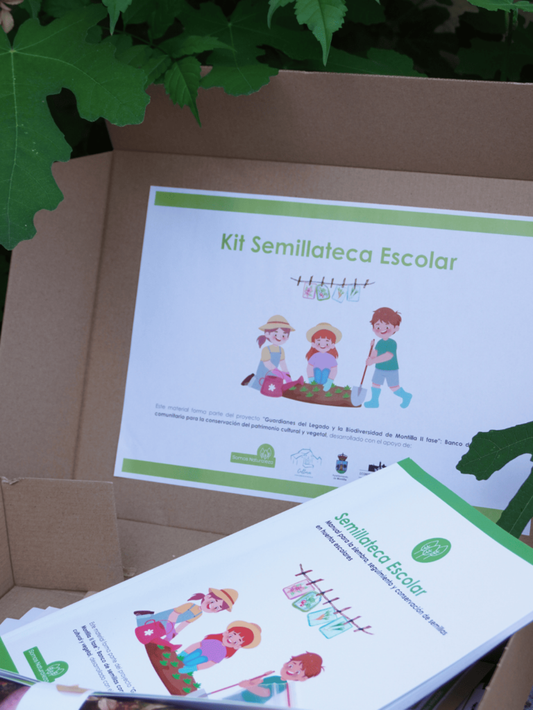 Extraer semillas calabacin 3