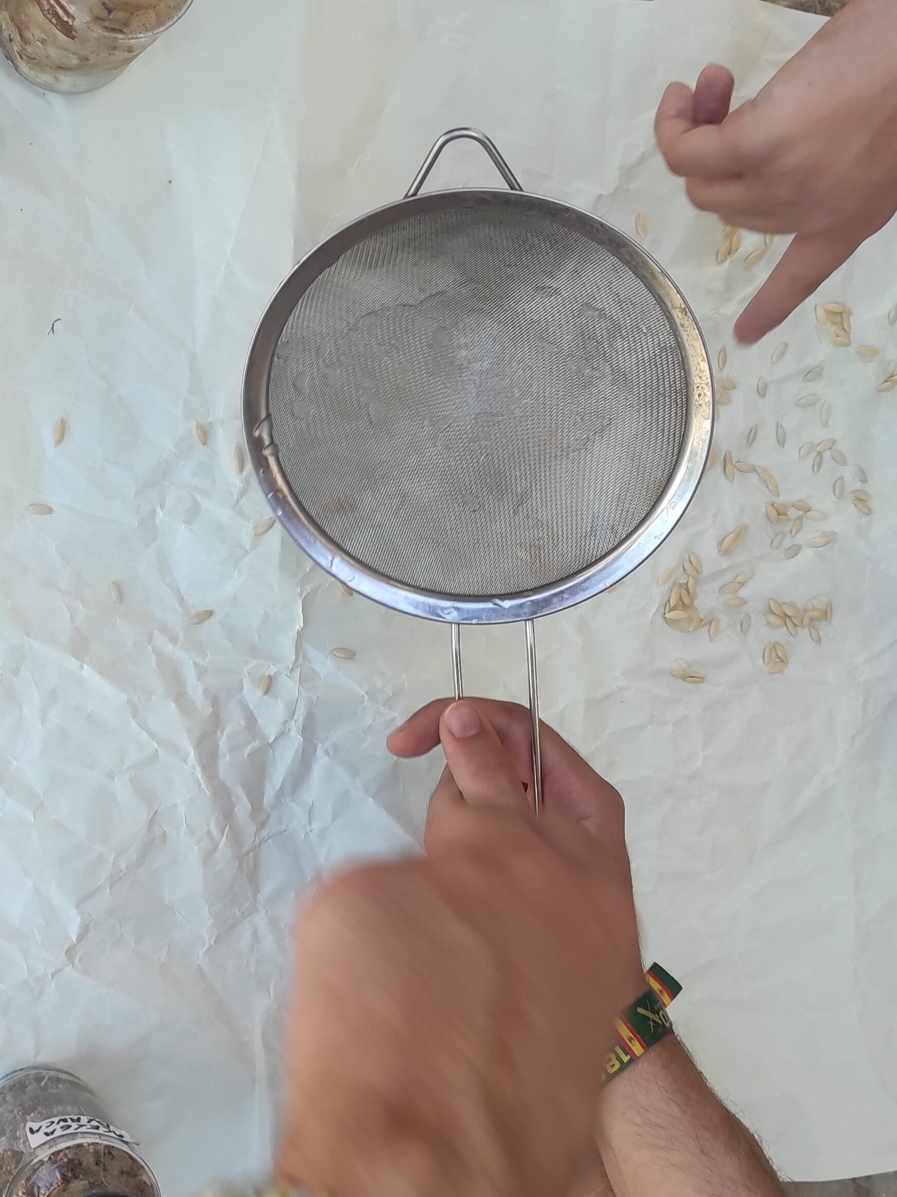 Extraer semillas calabacin 3