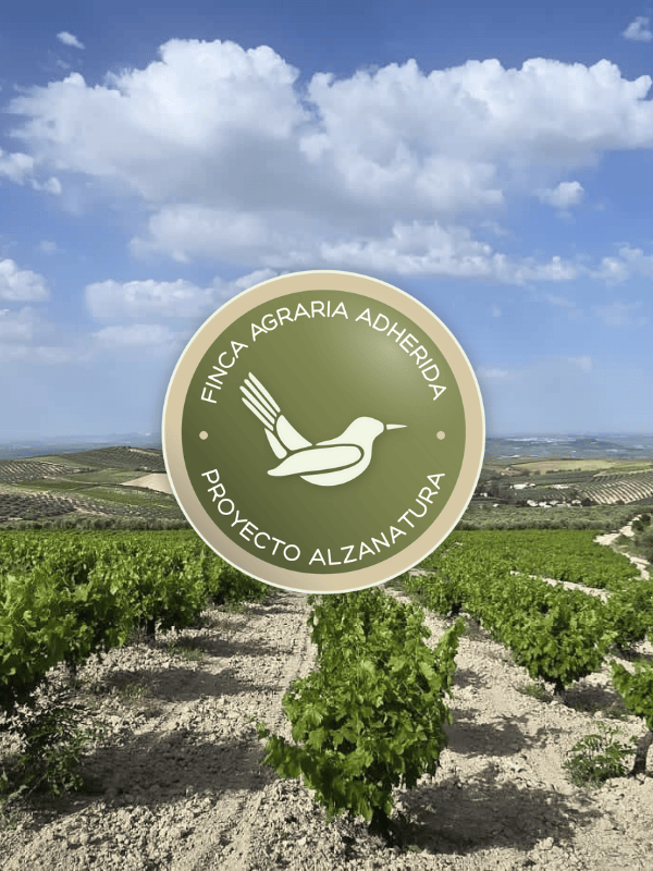 Lagar los Raigones 1