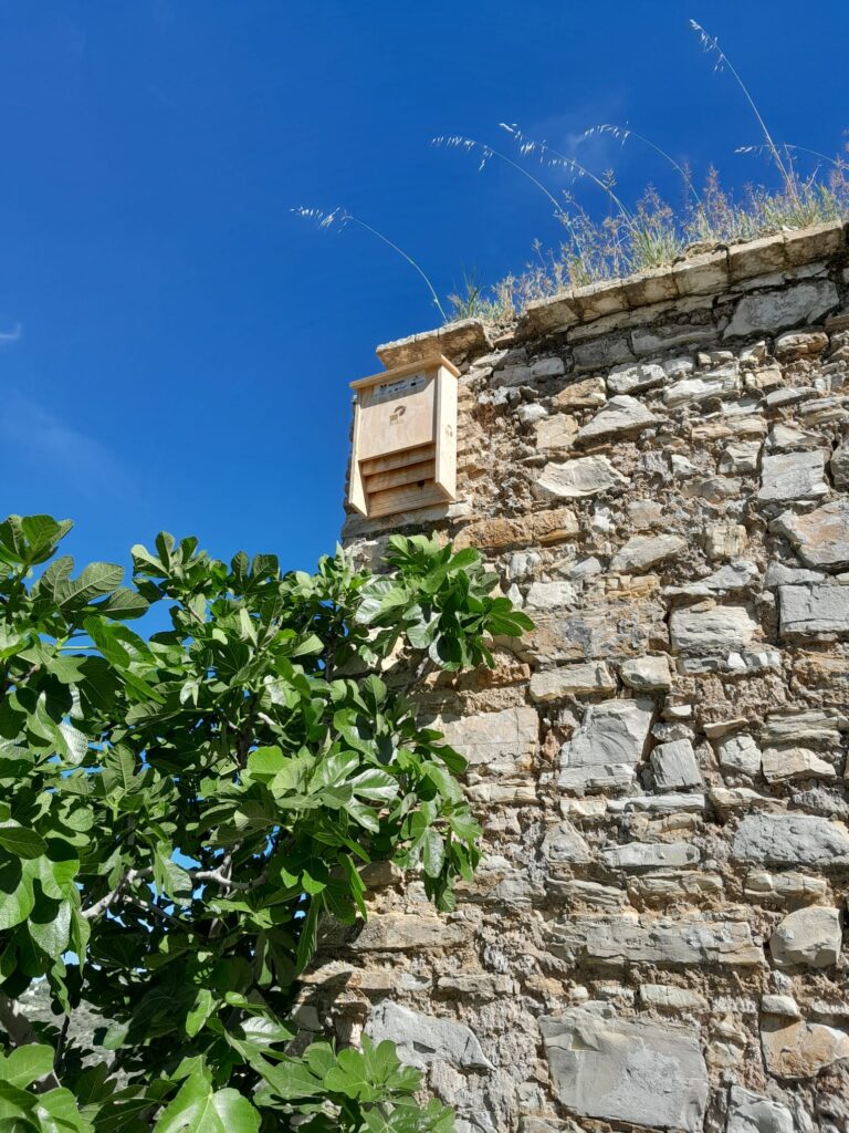 Lagar los Raigones 10