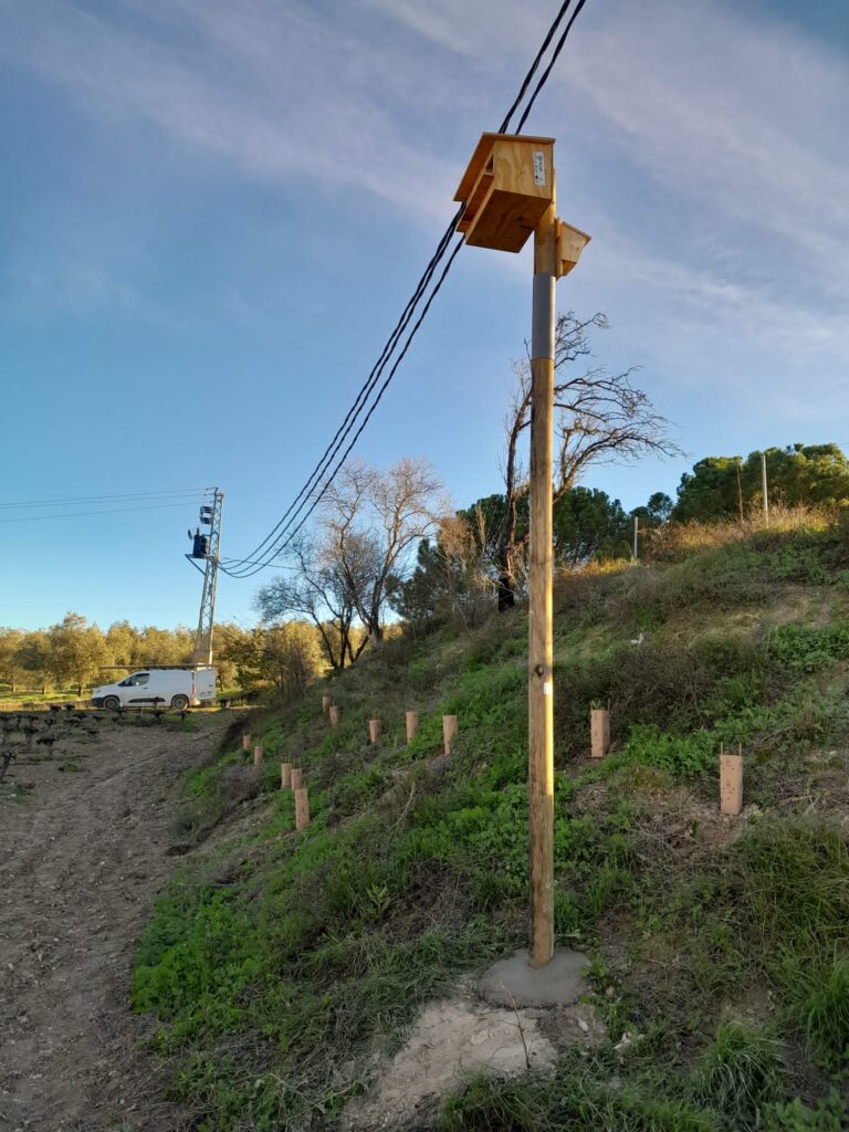 Lagar los Raigones 11