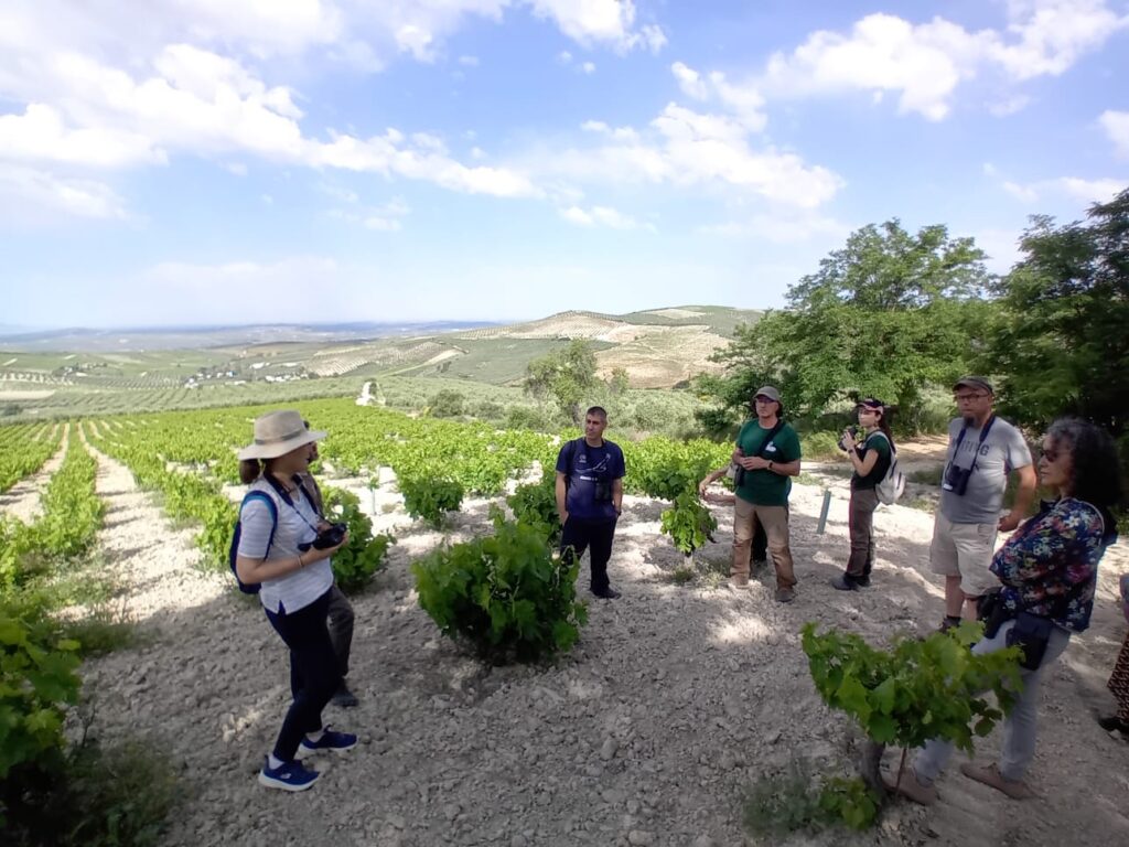 Lagar los Raigones 4