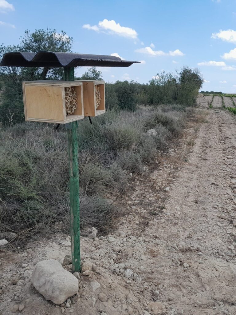 Lagar los Raigones 4