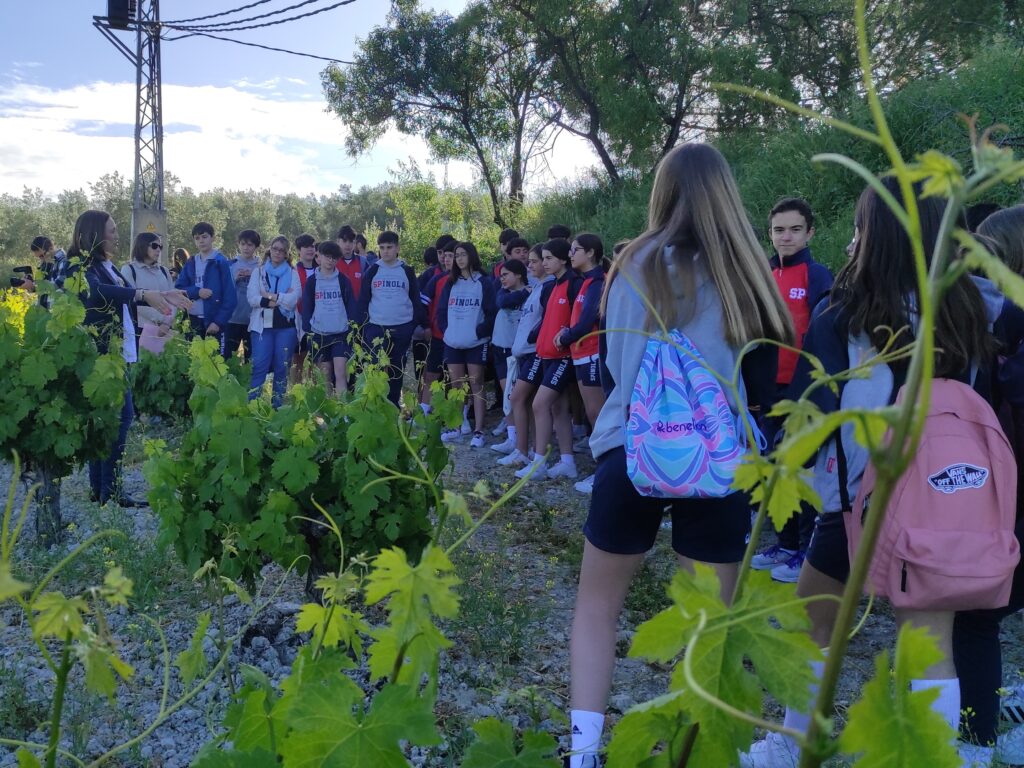 Lagar los Raigones 5