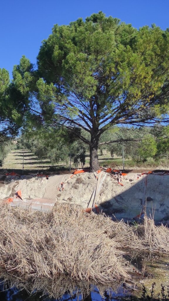 Lagar los Raigones 6