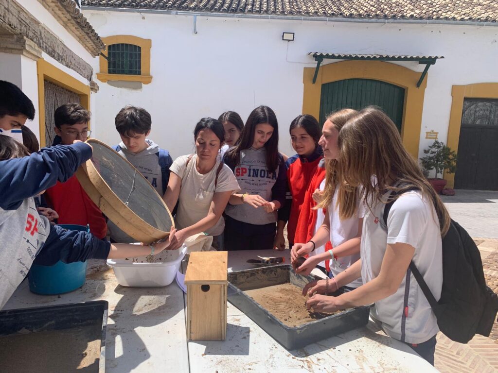 Lagar los Raigones 7