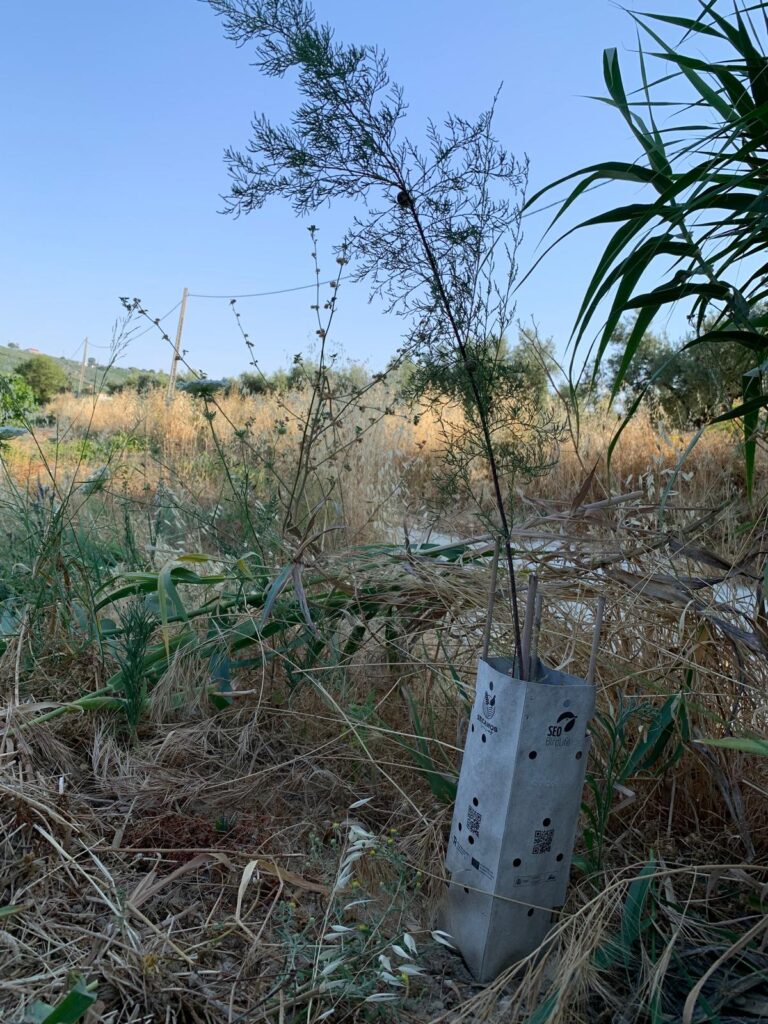 Lagar los Raigones 8