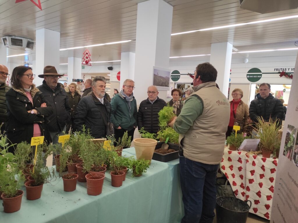 Mercado de semillas 10