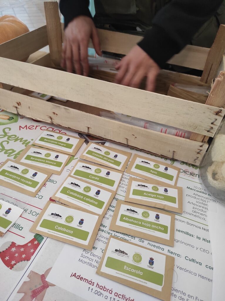 Mercado de semillas 17