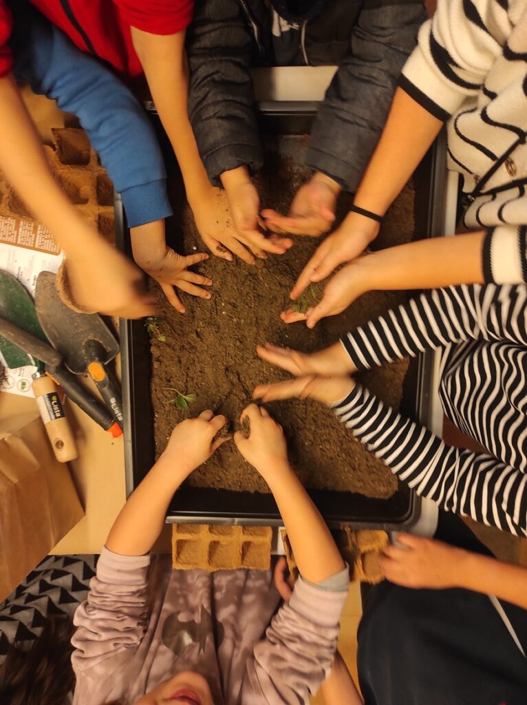 Mercado de semillas 19