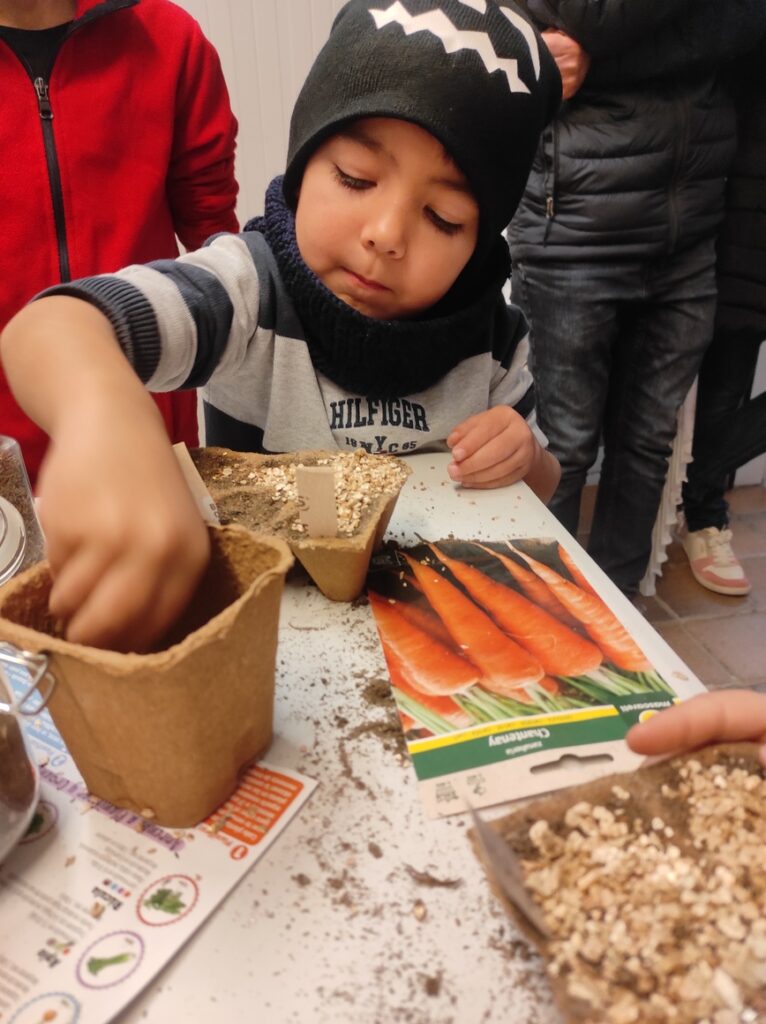 Mercado de semillas 2 1