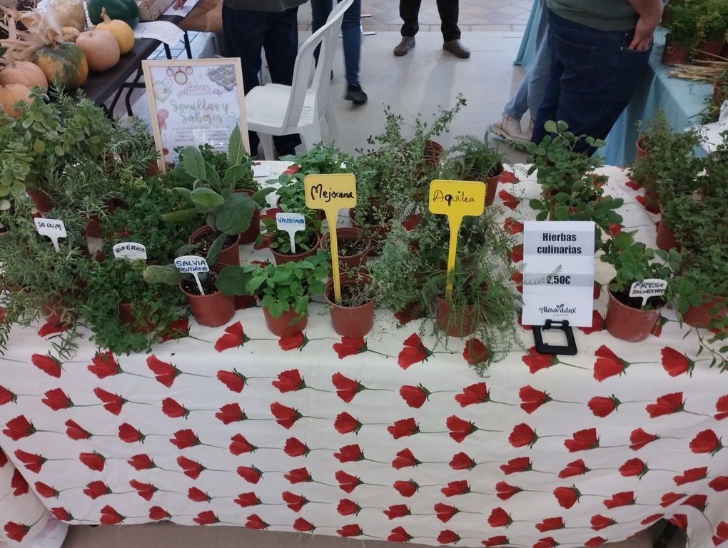 Mercado de semillas 4