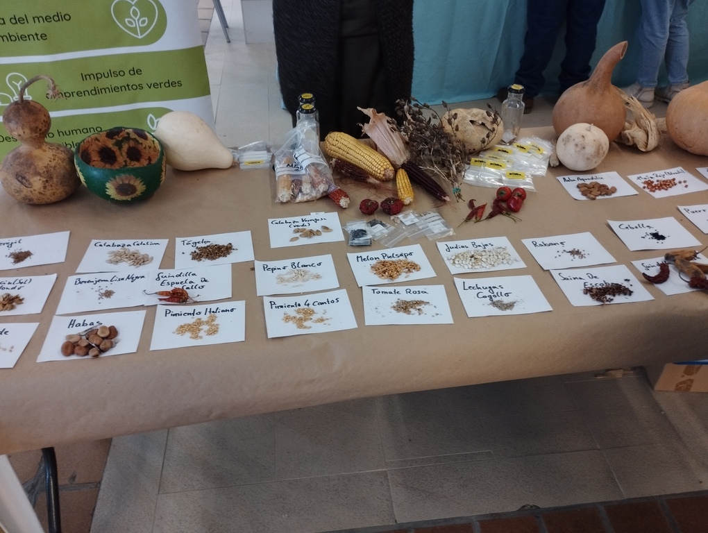 Mercado de semillas 7