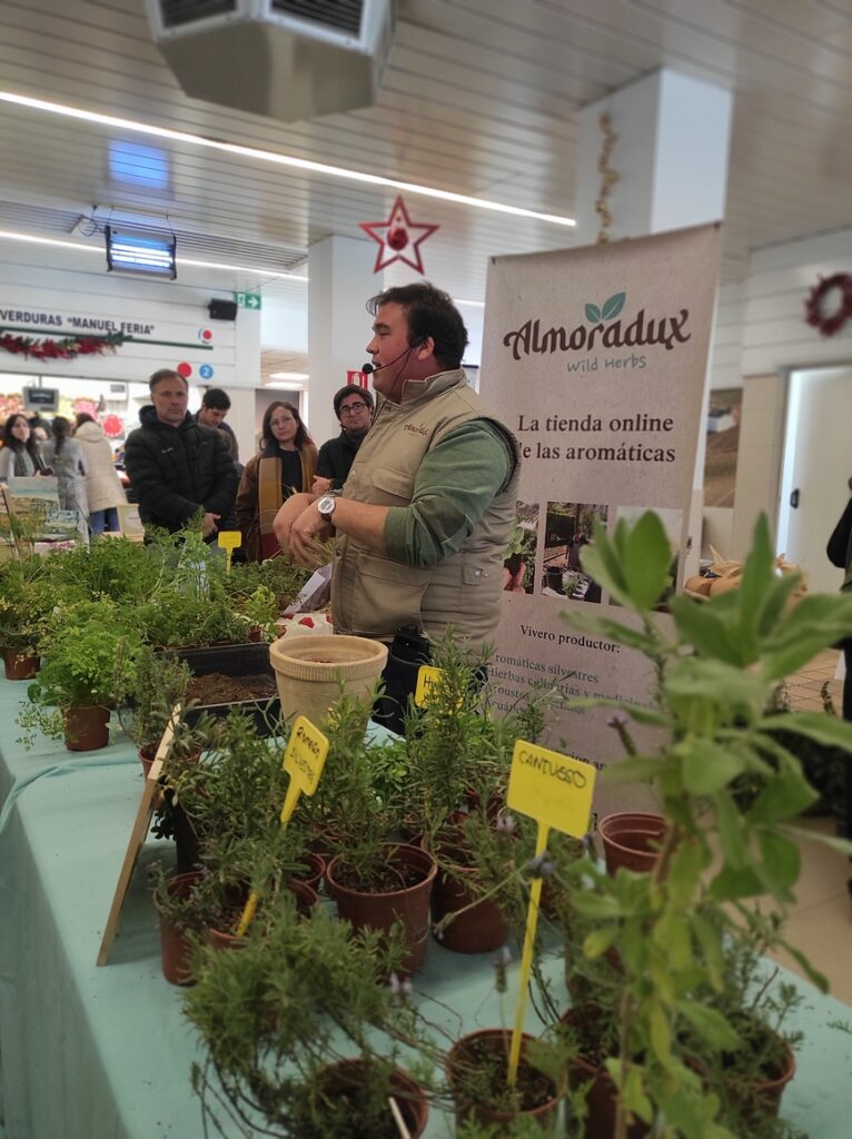 Mercado de semillas 9