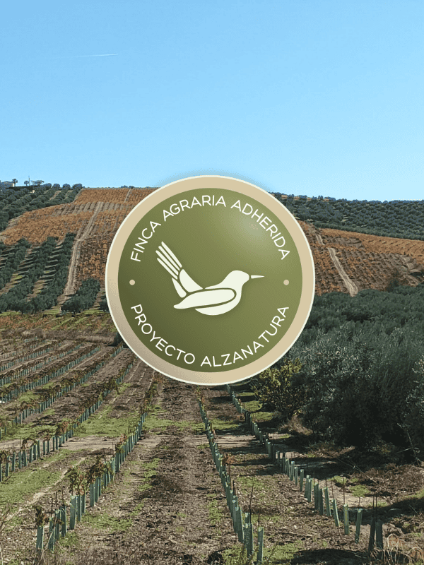 <strong></noscript>¿Por qué el modelo de gobernanza de la Custodia Agraria del Territorio funciona?</strong>