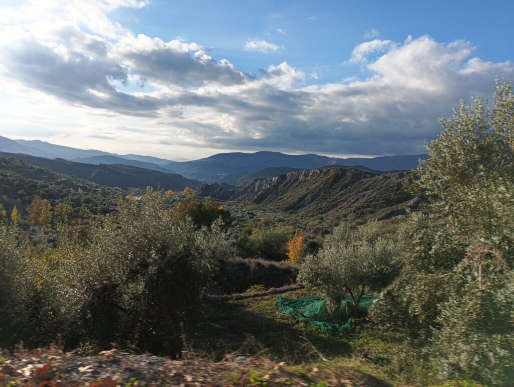 WhatsApp Image 2025 11 21 at 12.46.39 2