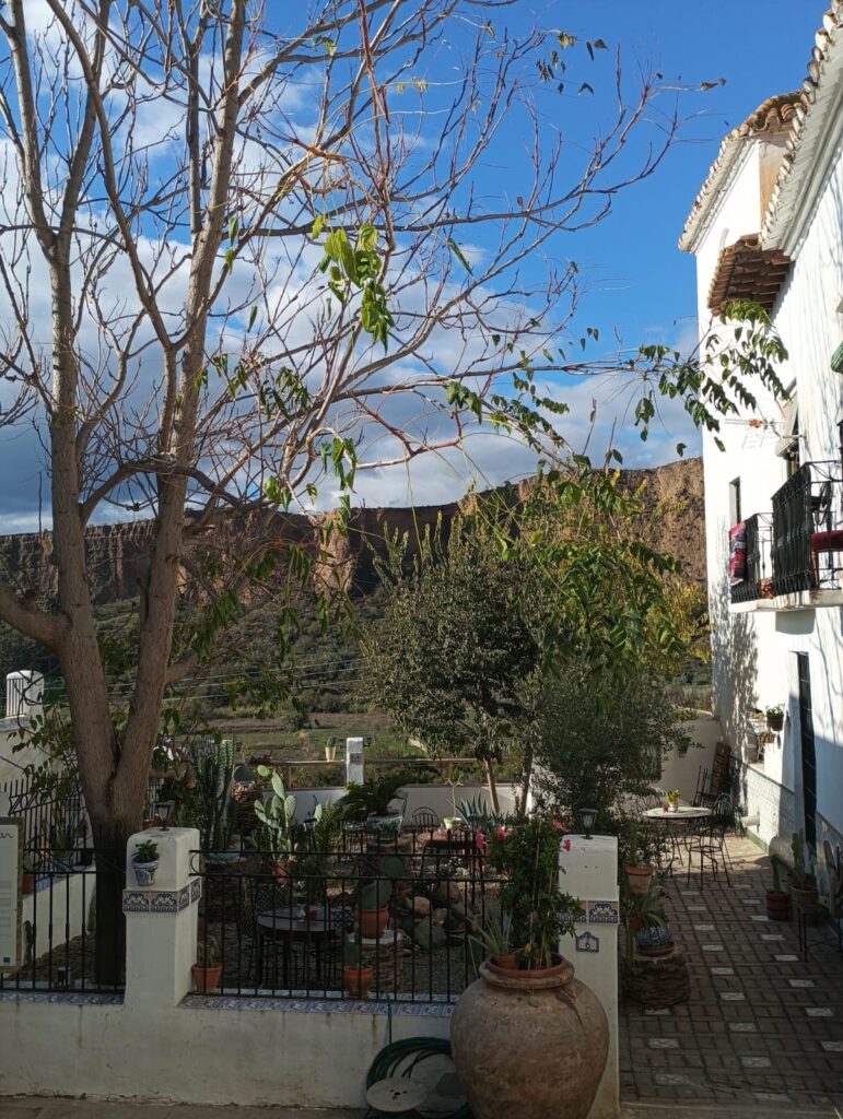 WhatsApp Image 2025 11 21 at 12.46.39