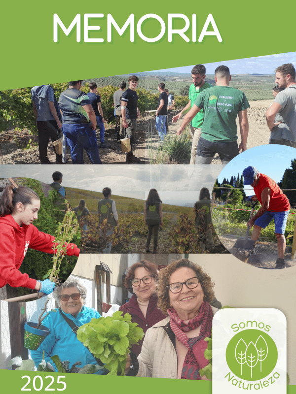 Portada blog Memoria FSN25