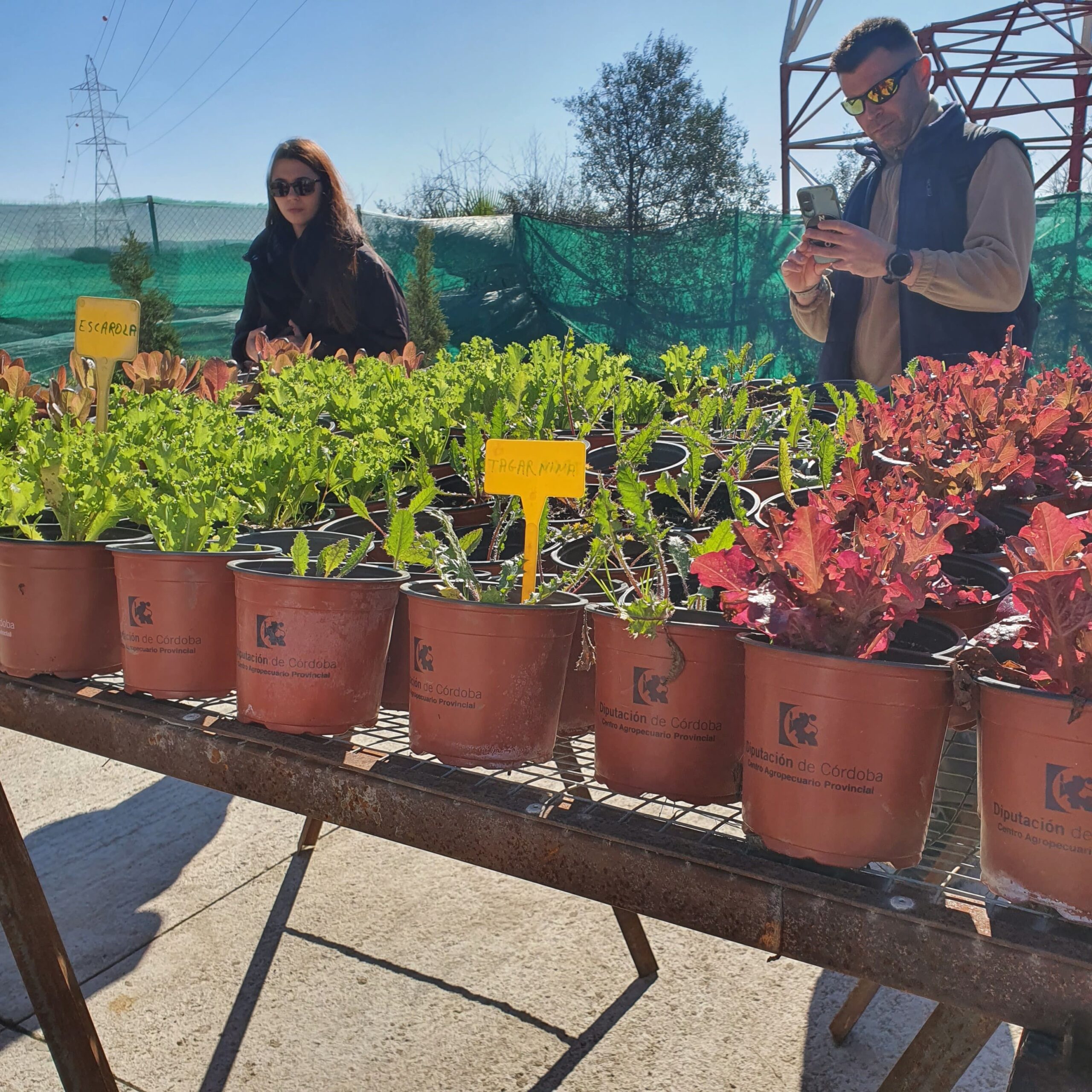 entrega semillas diputación cordoba